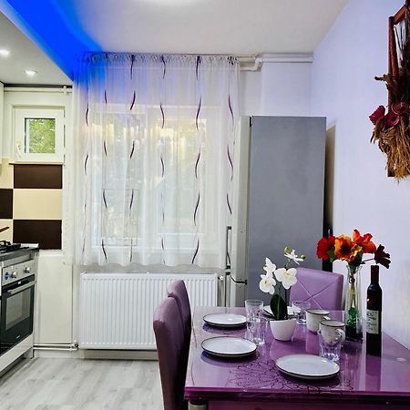 Joy City Stay Spacious Comfortable Timişoara Eksteriør billede