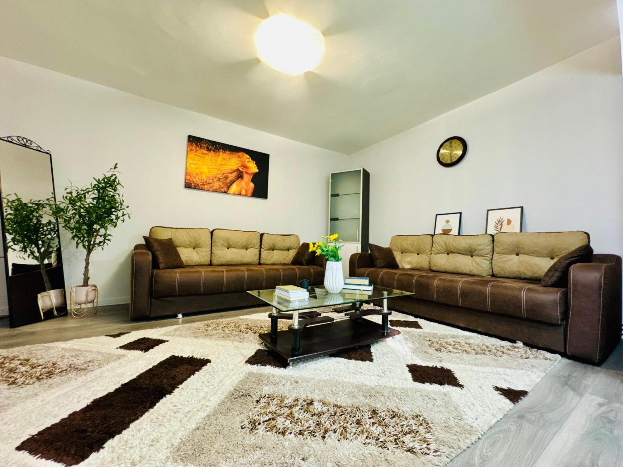 Joy City Stay Spacious Comfortable Timişoara Eksteriør billede