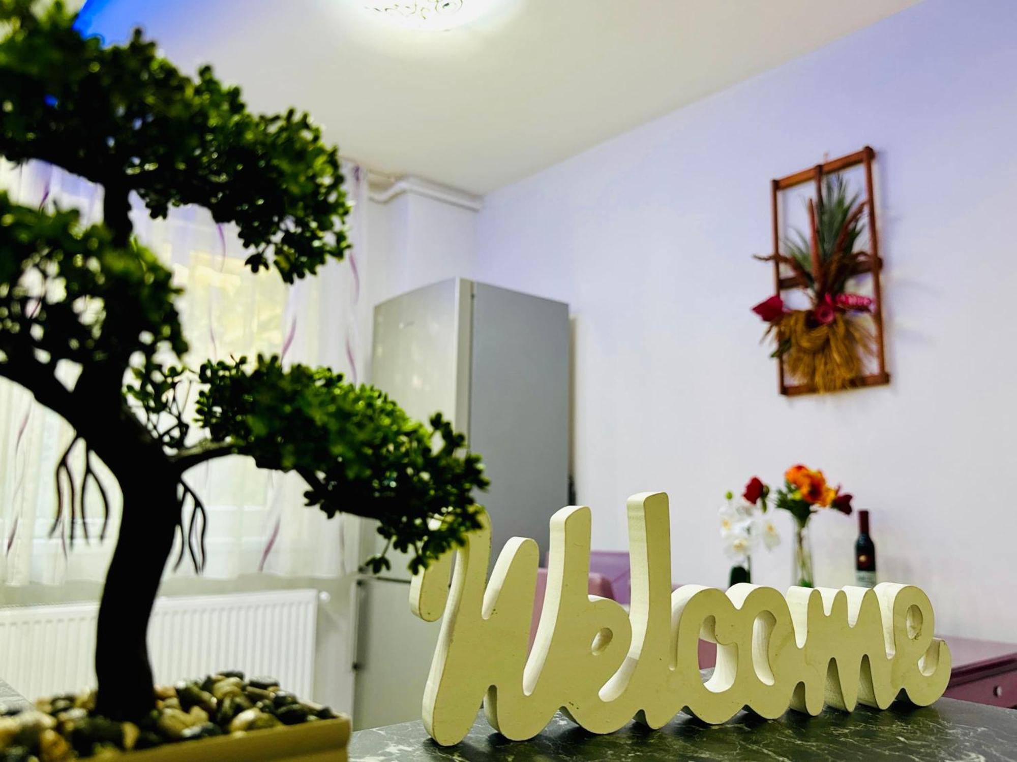 Joy City Stay Spacious Comfortable Timişoara Eksteriør billede