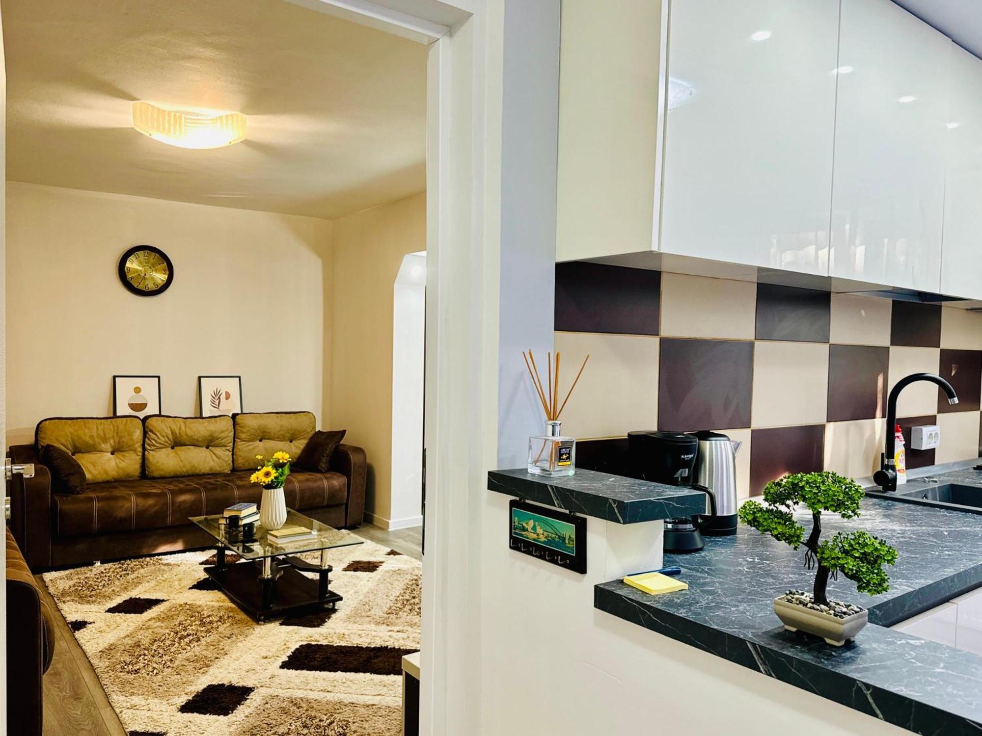Joy City Stay Spacious Comfortable Timişoara Eksteriør billede